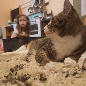 Alisha Womack Ducker