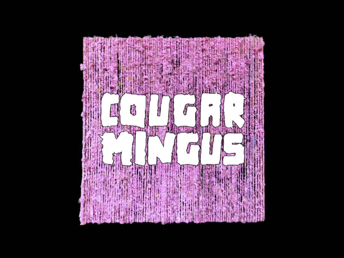 Fundraiser’s main image