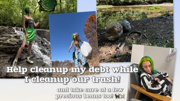 Cleaning up litter with your support for bills and kitties! campaign photo, 1 of 5