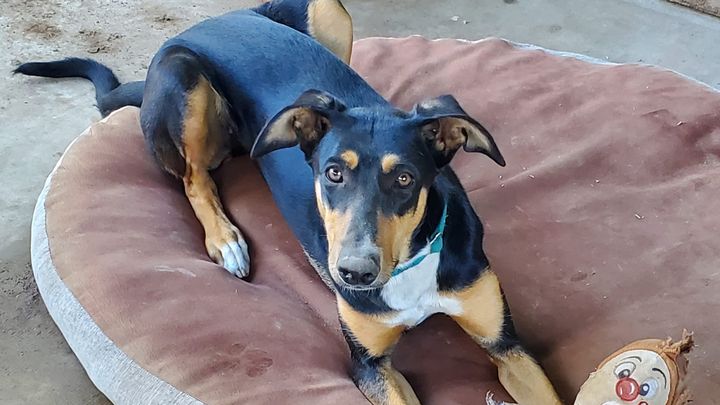 Main fundraiser photo