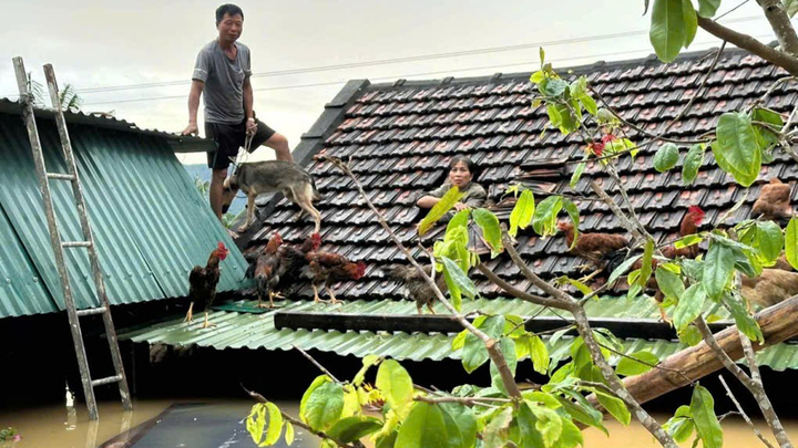 Urgent Help for Quang Nam Flood Victims campaign photo, 1 of 8