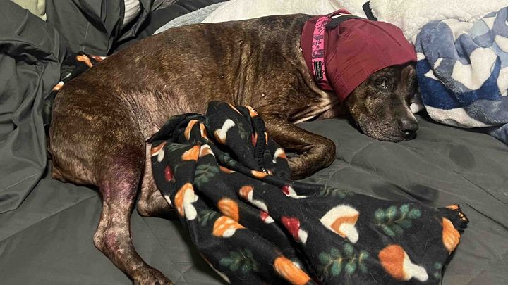 Help Athena Recover After Traumatic Night campaign photo, 1 of 7