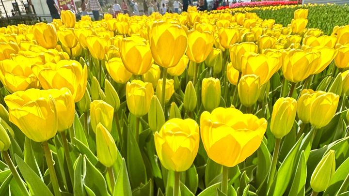 Hauptbild des Spendenaufrufs