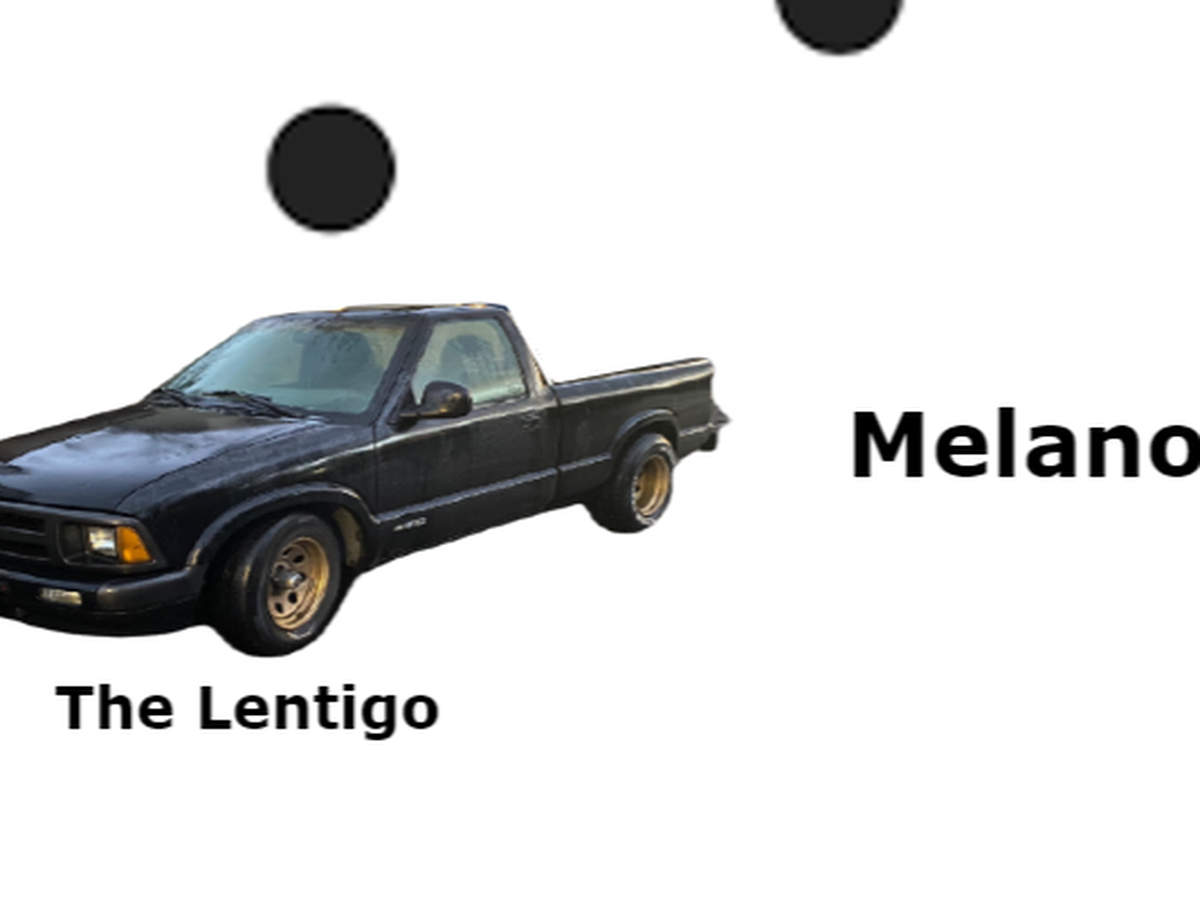 Fundraiser’s main image