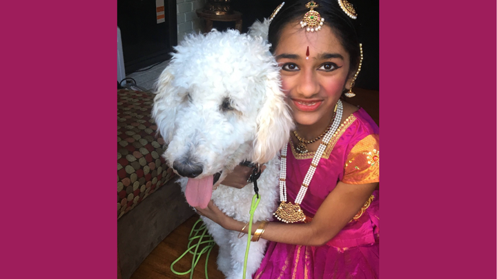 For the Love of Dance & Animals: Support Blue Cross of India campaign photo, 1 of 7