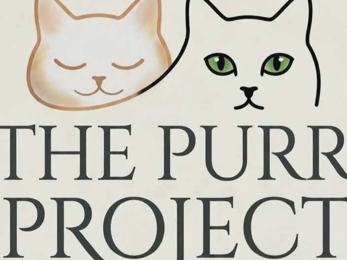 Fundraiser’s main image