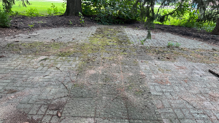 Improving Fairlawn Presbyterian Church's Meditation Garden campaign photo, 1 of 6