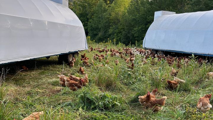 Help Leaping Bear Farm Rebuild