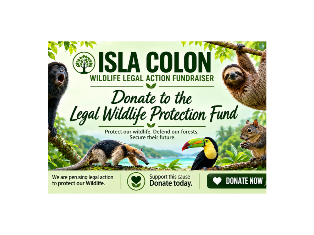 Fundraiser’s main image