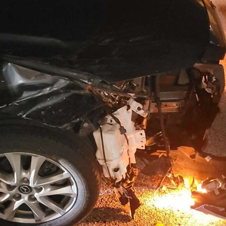 Fundraiser By Stephanie Maroulis Saved A Cat Lost A Car