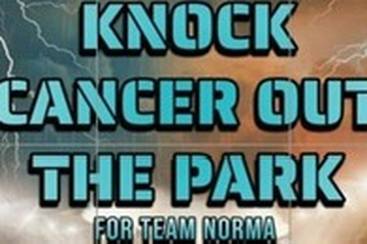 Help us knock cancer out of the park!