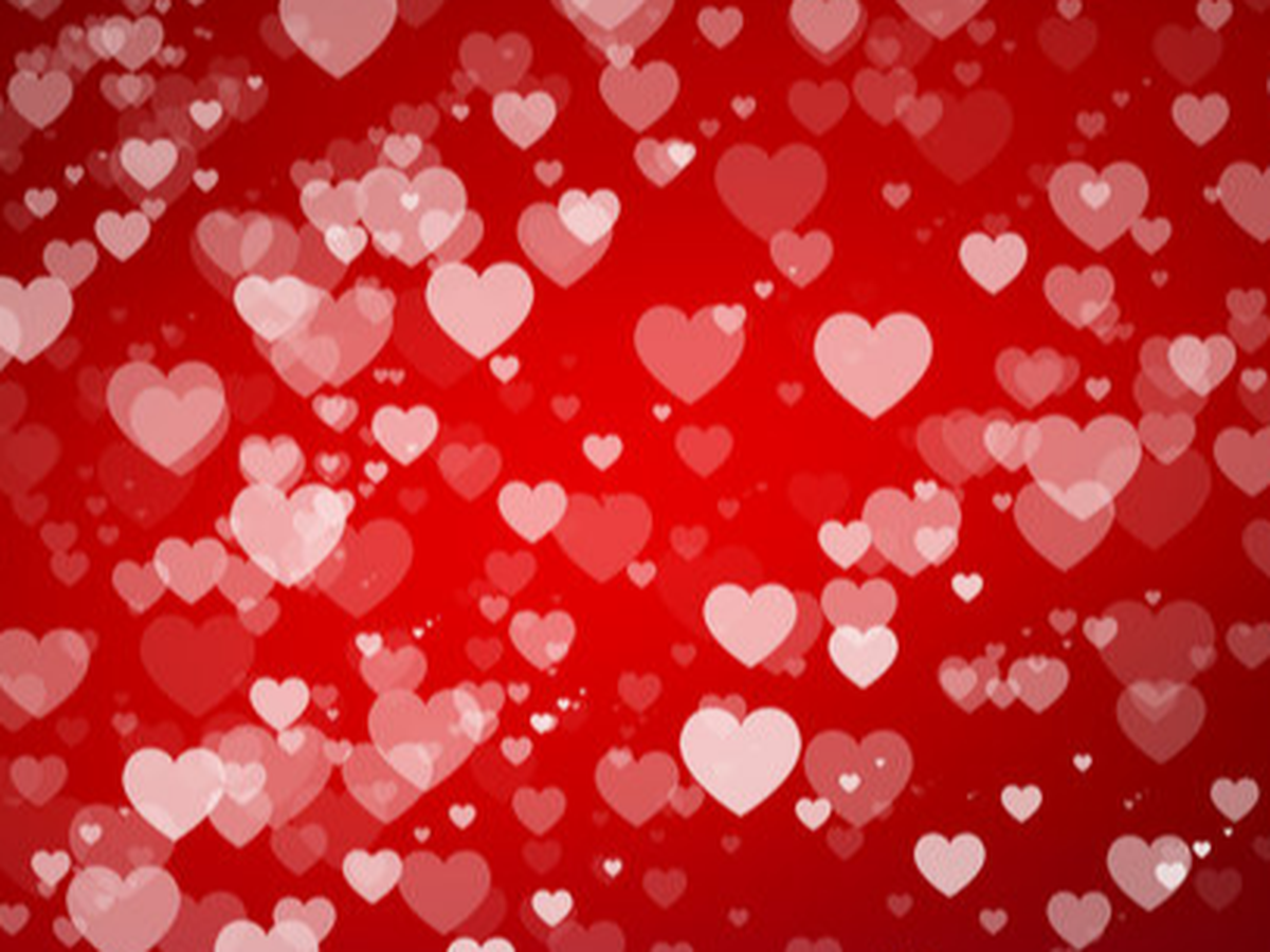 Fundraiser’s main image