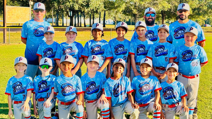 Help the 9U Pythons baseball team keep playing this winter! campaign photo, 1 of 5