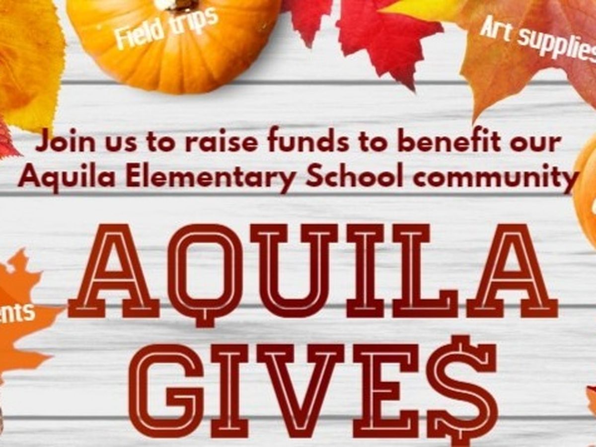 Fundraiser’s main image