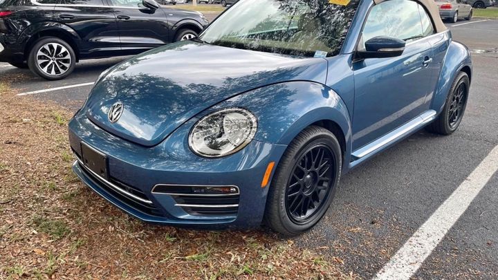 The beetle challenge campaign photo, 1 of 3