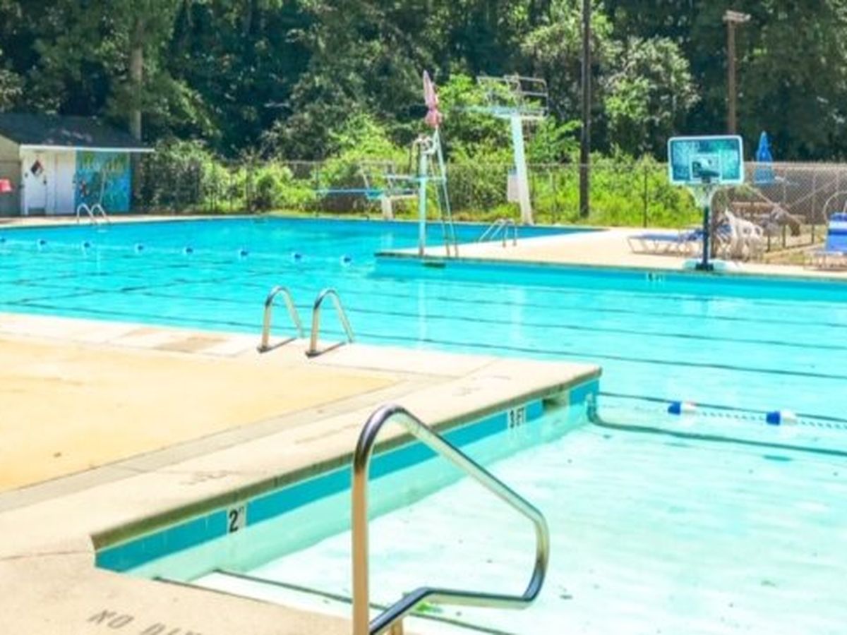 Revitalize Oak Park Pool for Future Generations campaign photo, 1 of 5