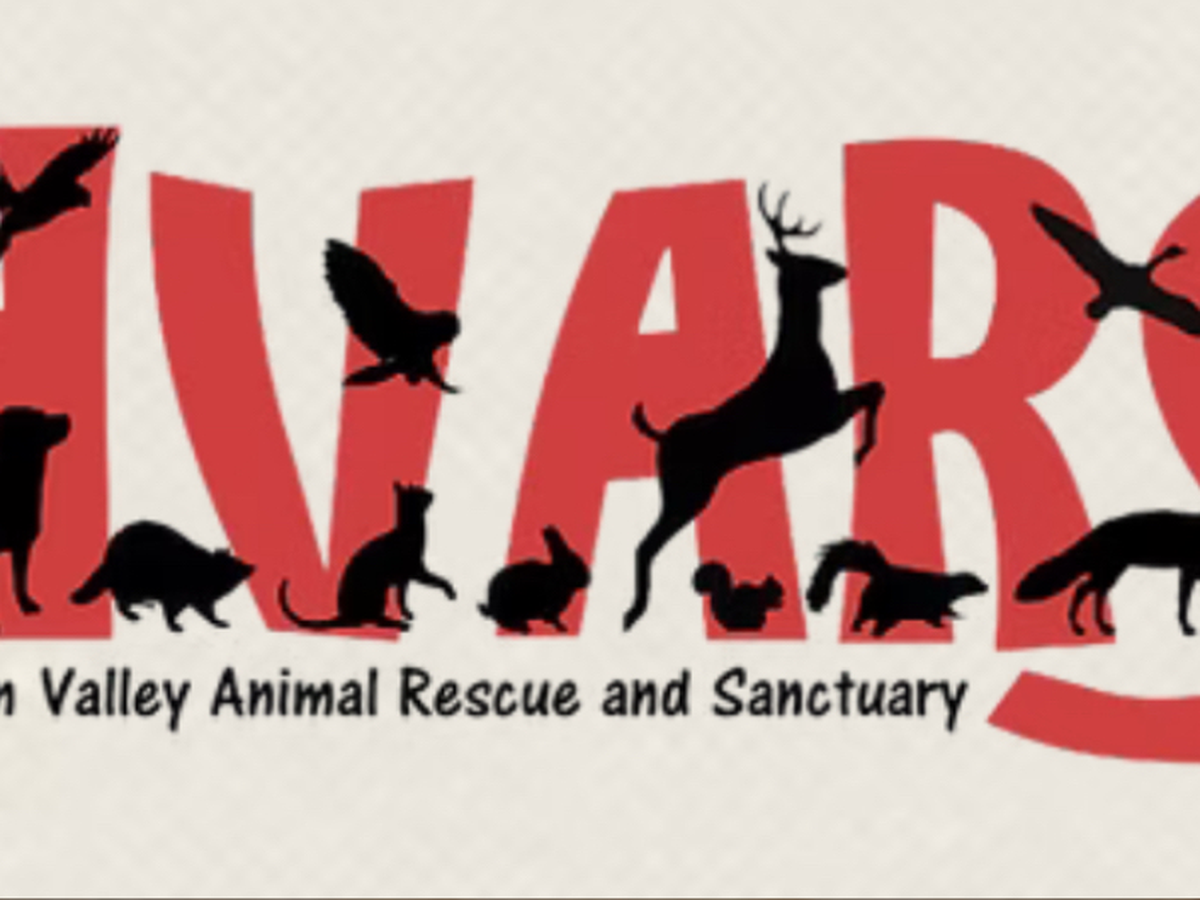 Fundraiser’s main image