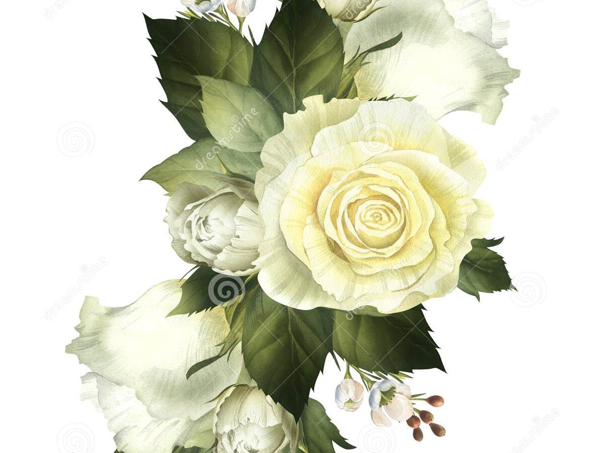 Fundraiser’s main image