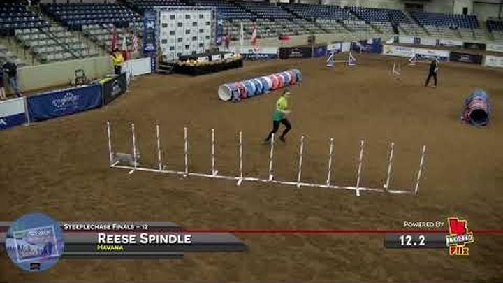 Help Reese & Havana Compete for Team USA in Spain video thumbnail, 1 of 7