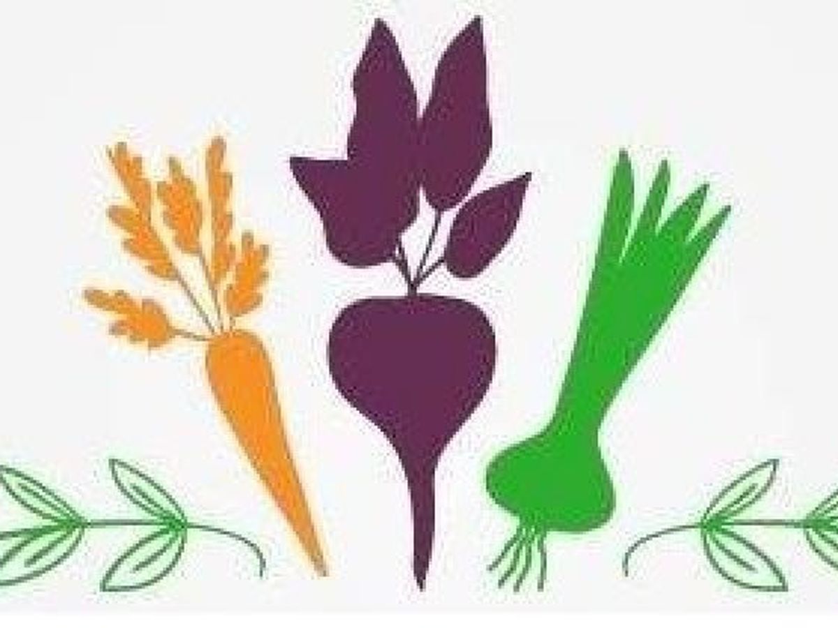 Fundraiser’s main image
