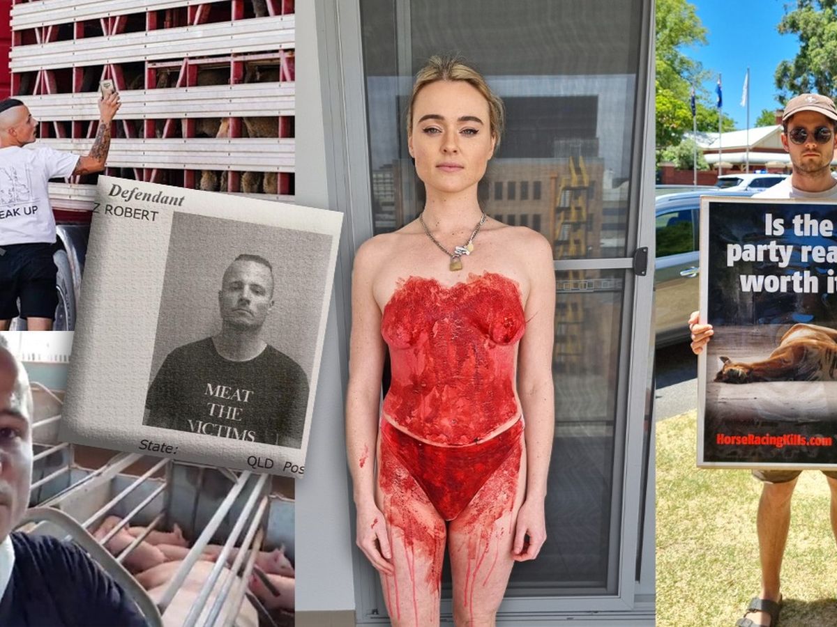 Vegan activist Tash Peterson shares before-and-after shots