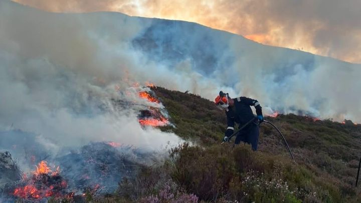 Together for the Cairngorms: Wildfire Recovery Fund