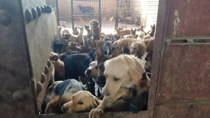Hoofdafbeelding inzamelingsactie