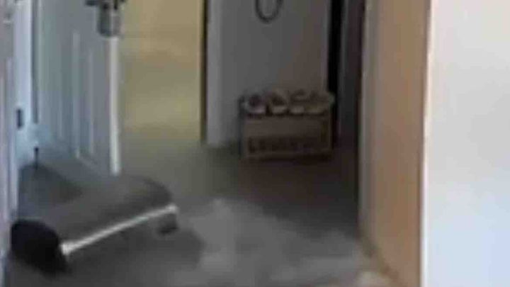Help my daughter after her apartment flooded. campaign photo, 1 of 6