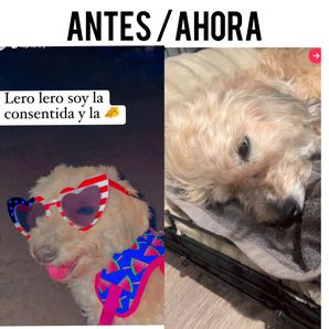 Lunita