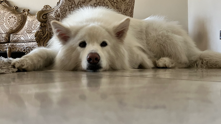 Support Malai's Life-Saving Treatment campaign photo, 1 of 8