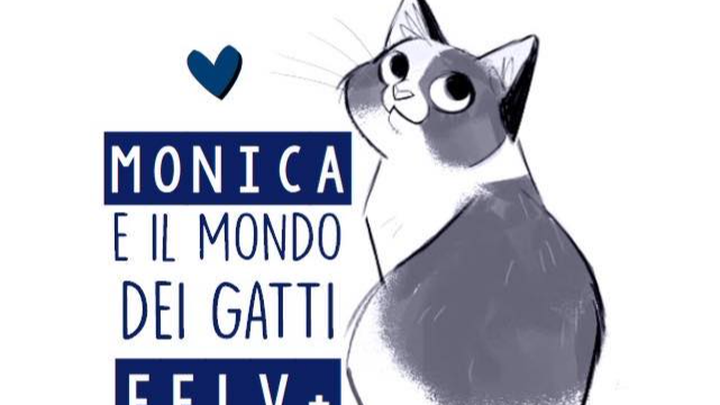 I gatti di strada hanno bisogno del vostro aiuto, vi prego! campaign photo, 1 of 2