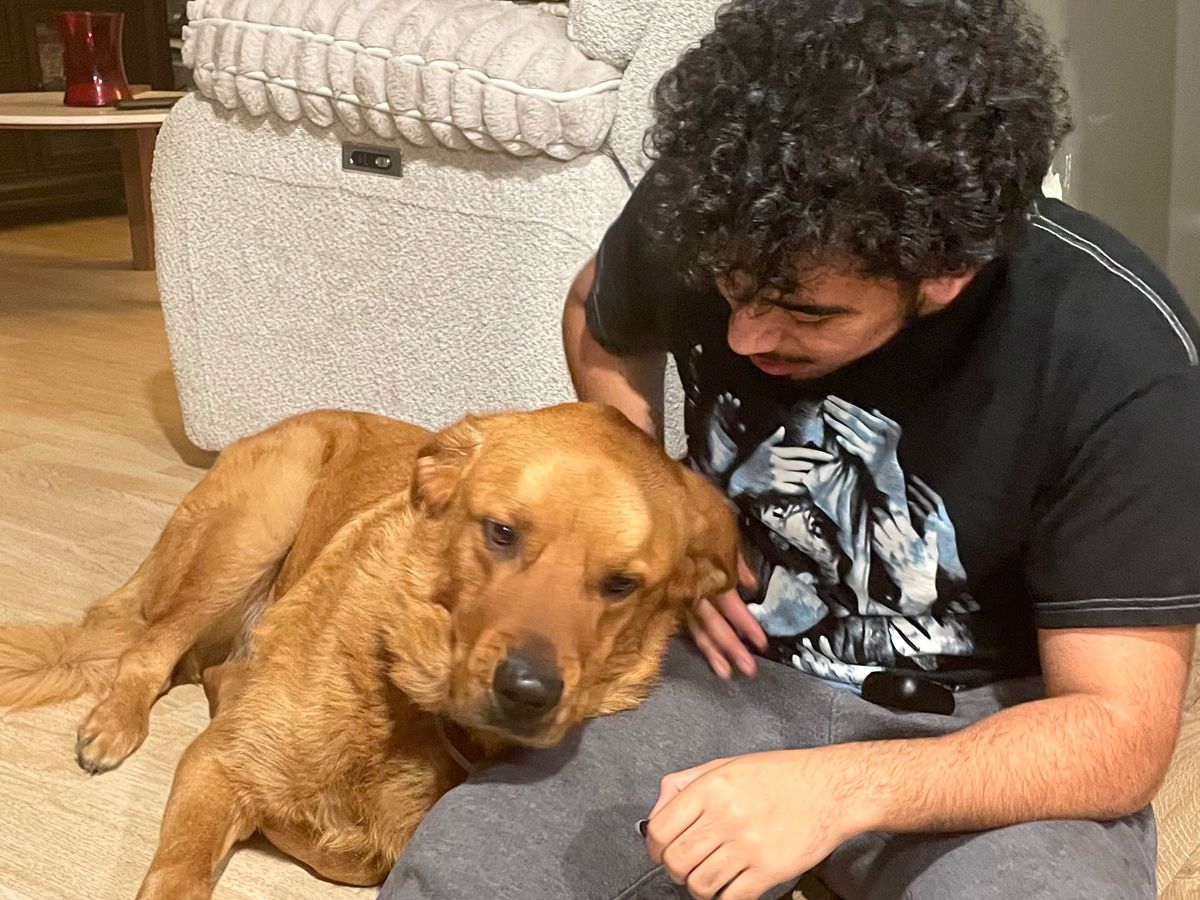 Fundraiser by Joshua Martinez Carlos : Help Rocky Recover After Train ...