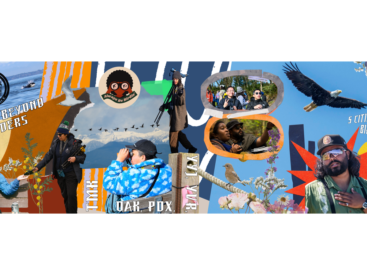 Fundraiser’s main image