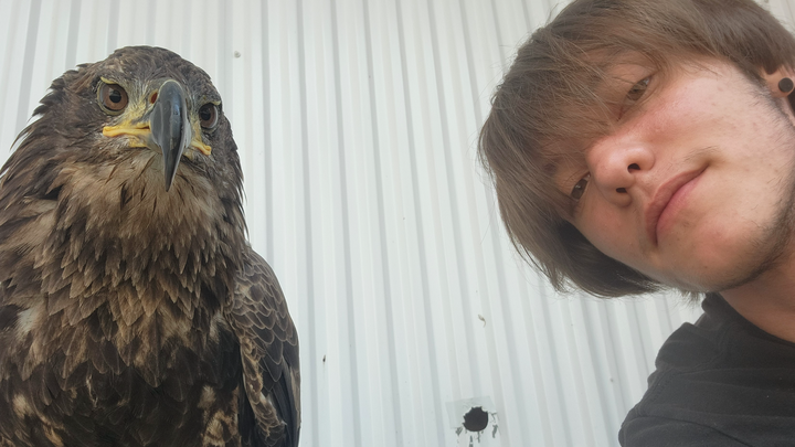 Help Sampson Continue His Wildlife Education campaign photo, 1 of 3