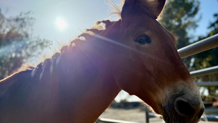 Support Manolo's Recovery campaign photo, 1 of 3