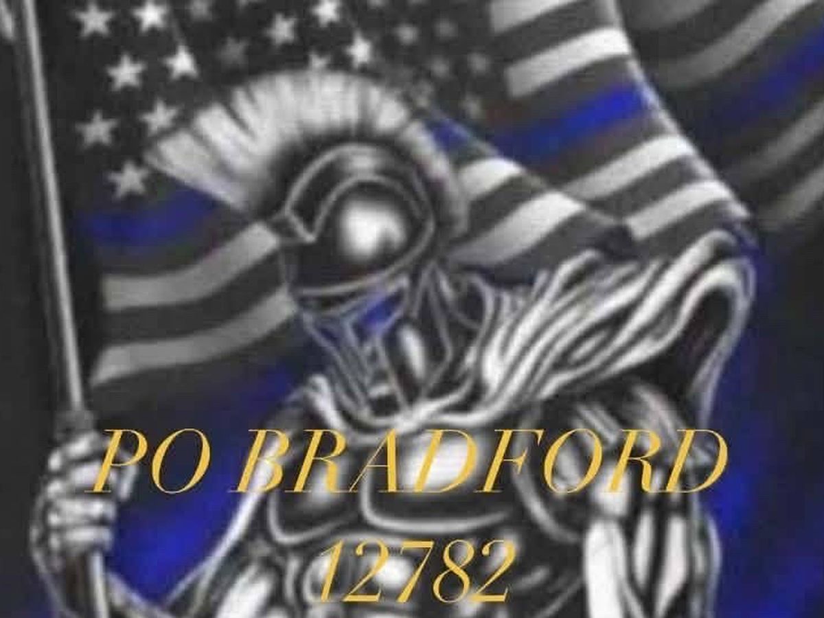 Fundraiser’s main image