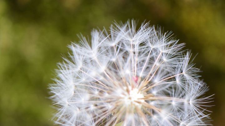 Foto principale della raccolta fondi