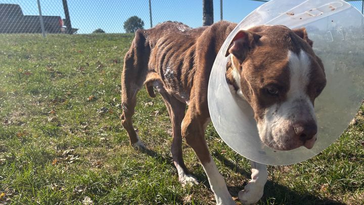 Brooks's Road to Recovery campaign photo, 1 of 8