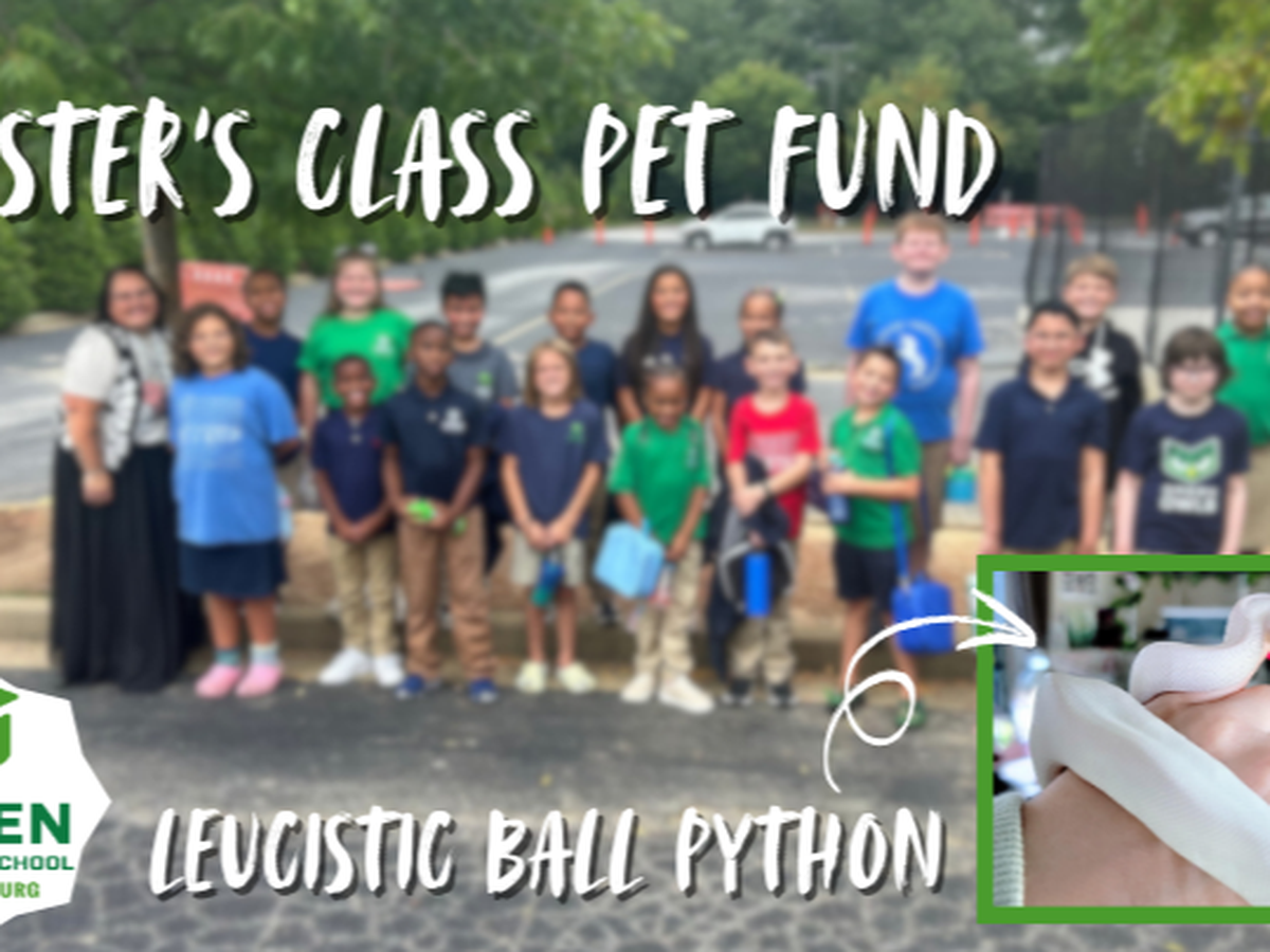Fundraiser’s main image