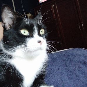 Irwin Martinez arellano