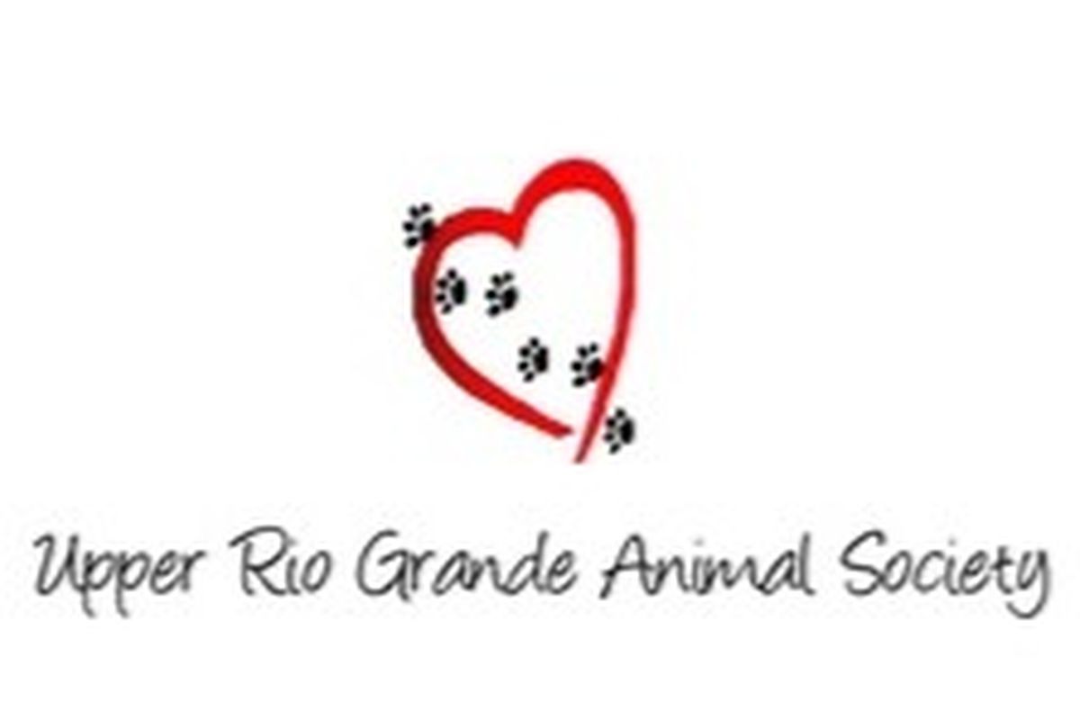 Fundraiser By Brittany Harlan Save Conour Animal Shelter