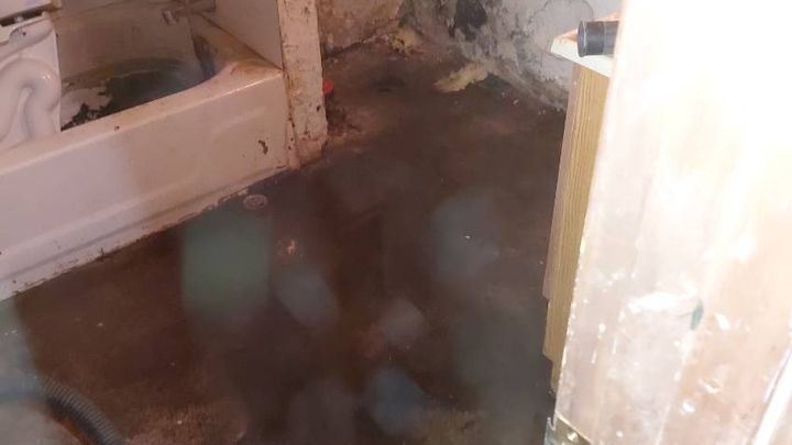Urgent Help for Snake and Wife's Sewer Issue campaign photo, 1 of 5