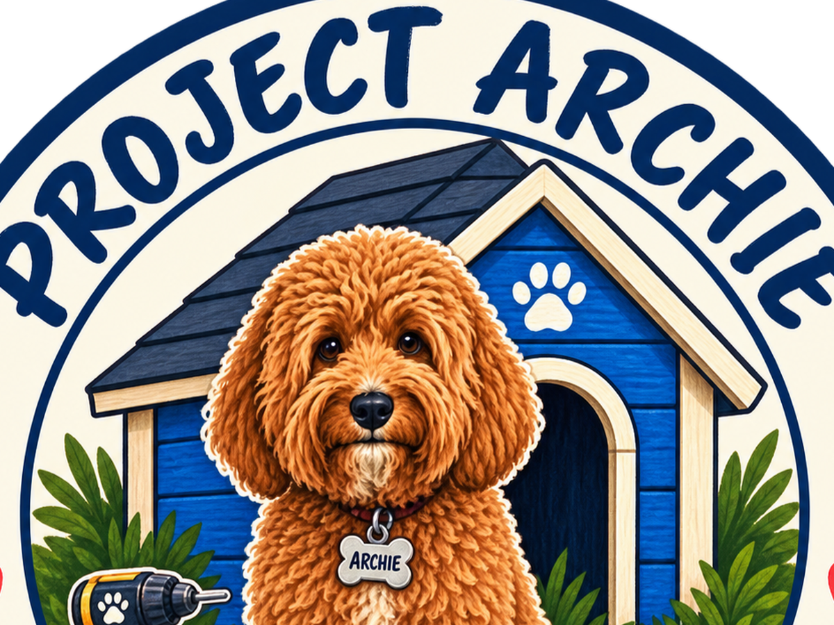 Fundraiser’s main image