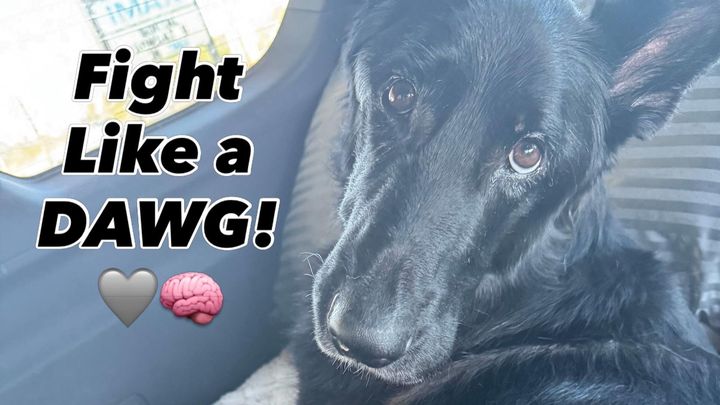 Help Max Get His Radiation Therapy campaign photo, 1 of 8