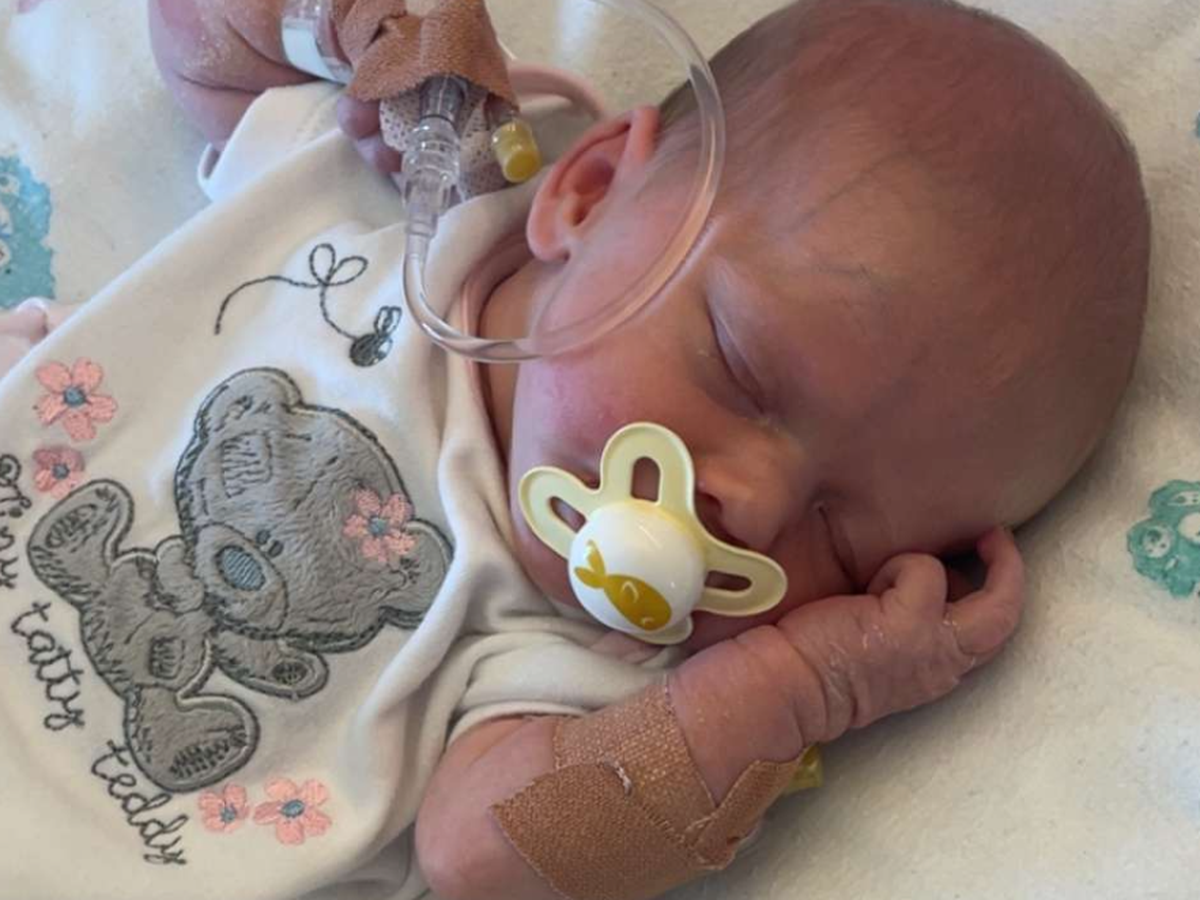 Fundraiser’s main image