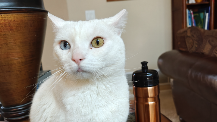 Help Morpheus Battle Heart Failure campaign photo, 1 of 3