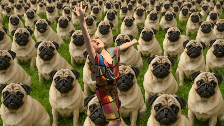 Support Emerson's Pug Adoption Journey campaign photo, 1 of 3