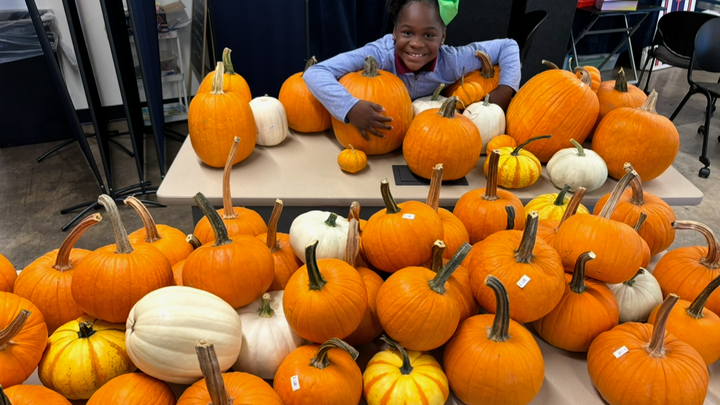 Support the 2026 Napier Community Fall Festival campaign photo, 1 of 8