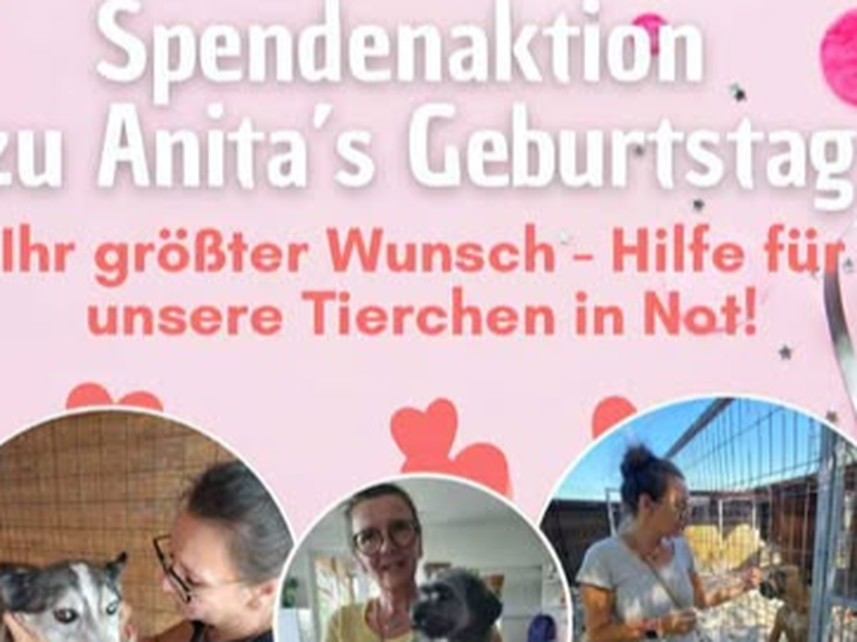 Anitas Geburtstagsspendenaktion für Pfote sucht Glück e.V. campaign photo, 1 of 4
