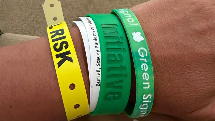 Lisa Burrell Fundraiser by Stacey Burrell : Help Grow the Garden: A Nurse's Journey ...